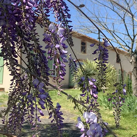 Bed and Breakfast La Bastilac Terracotta 3*